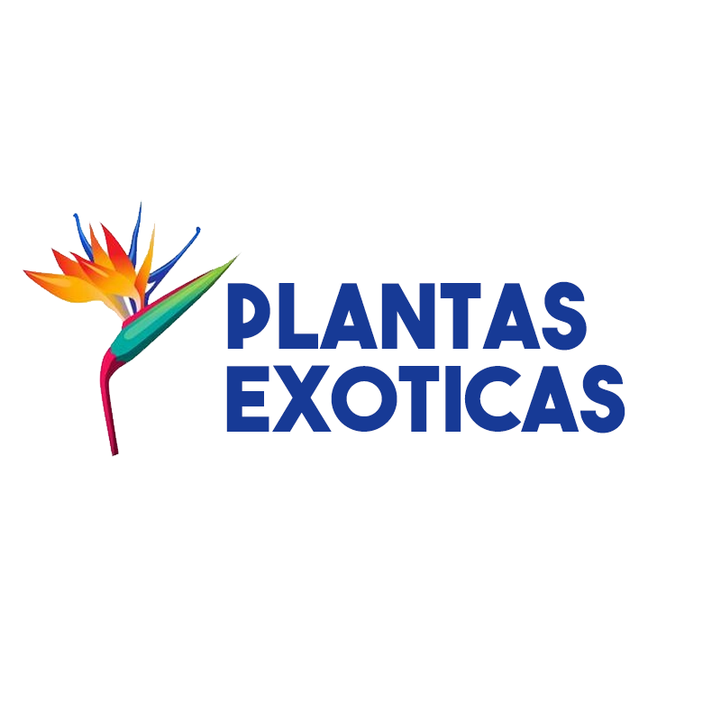 logo plantas exoticas