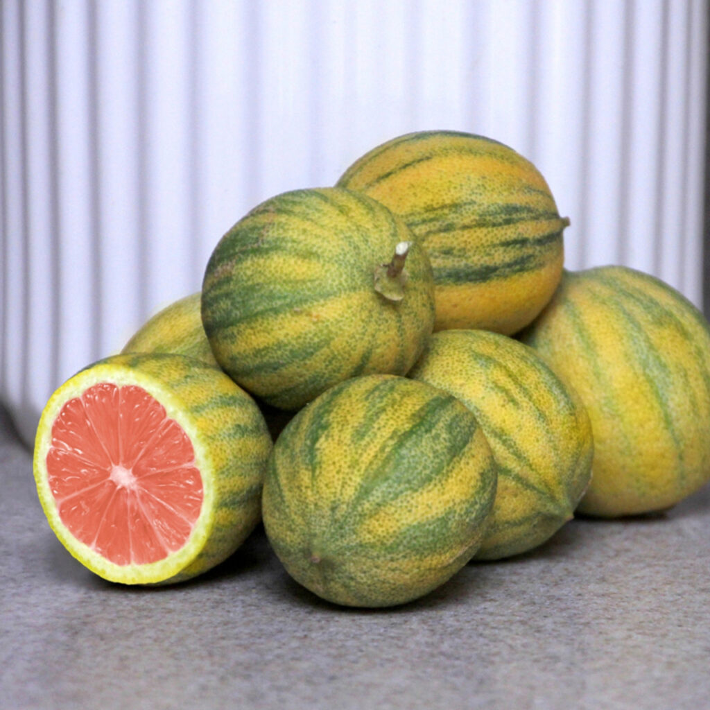 limon rosado