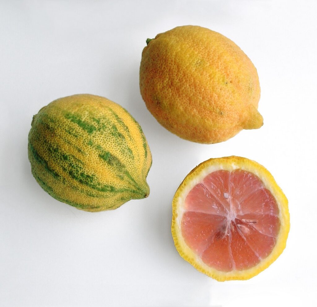 foto limon rosado