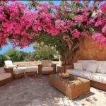 buganvillas